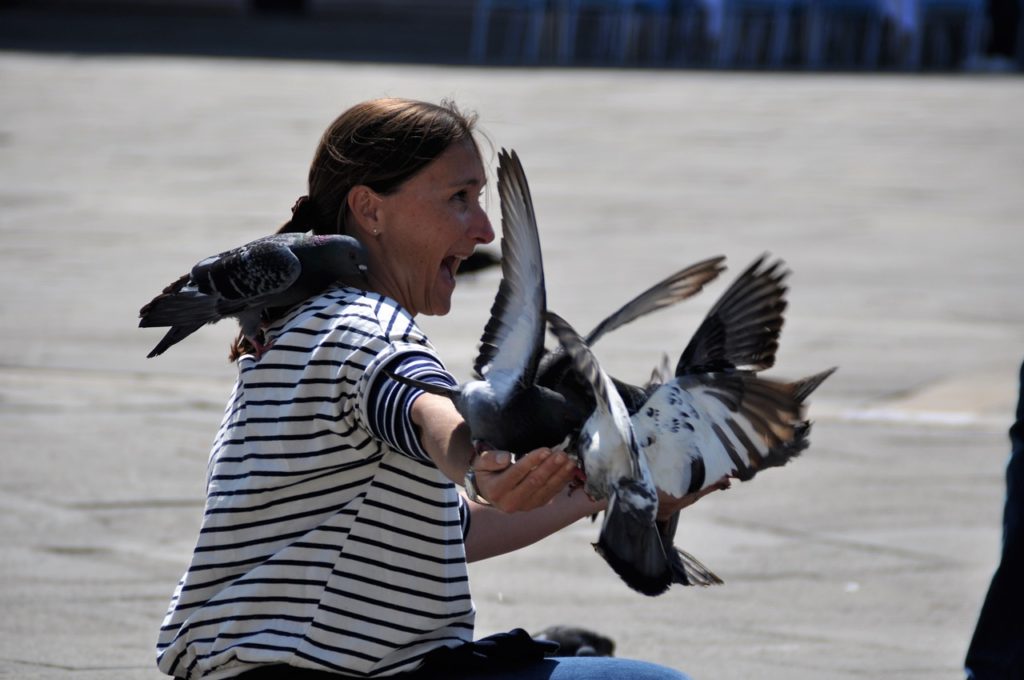 St Mark's Square with its doves